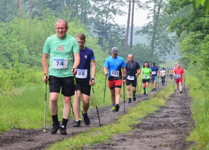 Mistrzostwa Podkarpacia 2022 w Nordic Walking. Ponad dwustu zawodników rywalizowało na trasach w Nowej Dębie. Zobacz zdjęcia ze zmagań! 