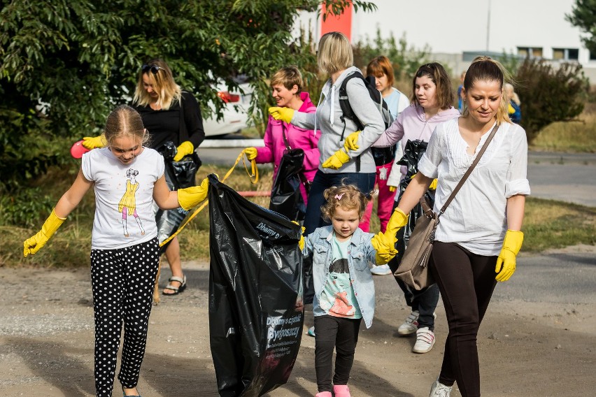 Sprzątanie Puszczy Bydgoskiej 