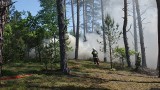 Powiat ostrołęcki. Strażackie Manewry Leśne. 90 strażaków gasiło pożar w Przystani