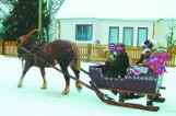 Powiat hajnowski. Gospodarstwa agroturystyczne czekają na chętnych.