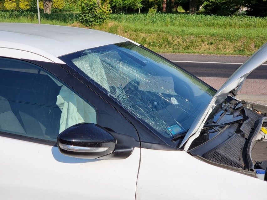 Wypadek na DK 77 w Żurawicy. Kierująca citroenem uderzyła w volkswagena polo. Jedna osoba ranna [ZDJĘCIA]