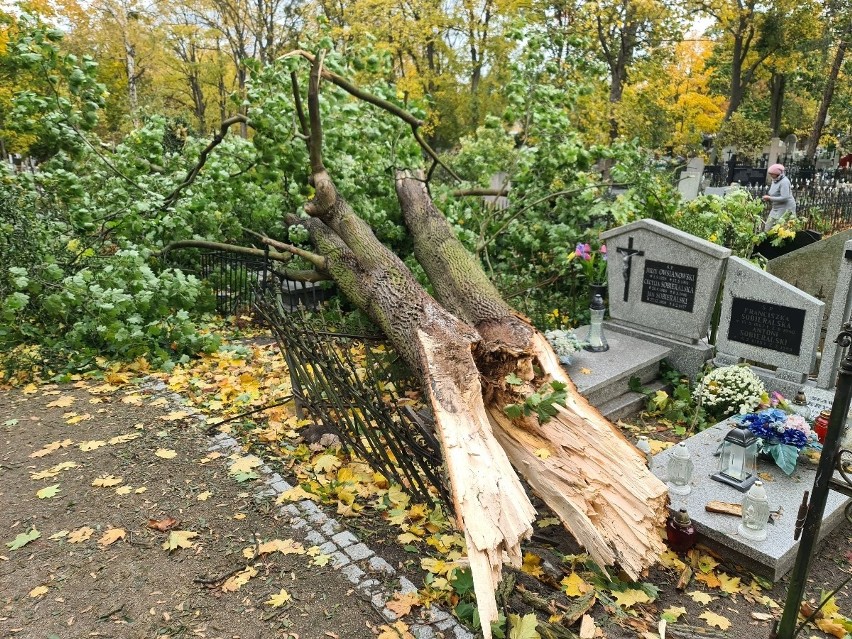 Wczorajsze, gwałtowne i porywiste wichury nie ominęły...