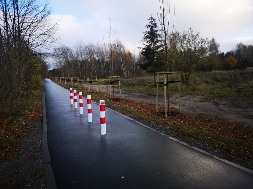 Prawie 10 kilometrów drogi rowerowej na Prawobrzeżu. To szczeciński odcinek długiego szlaku