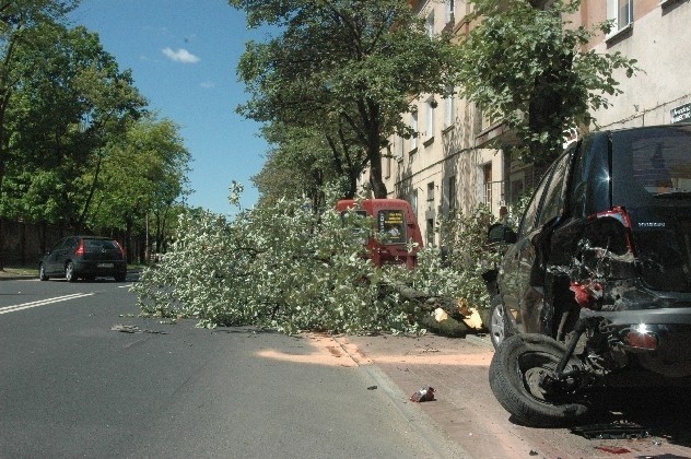 Hyunday uderzył w pobliskie drzewo, citroena zarzuciło na drugi pas