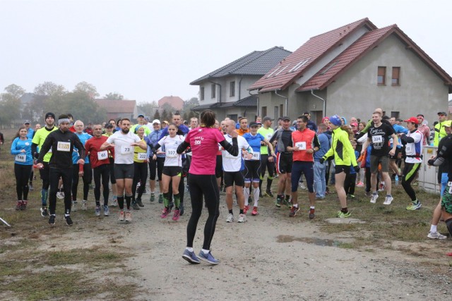 W biegu wzięło udział ponad 250 osób.