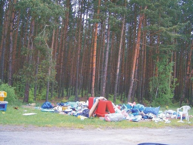 I oto co pozostało w kilku miejscach po wywiezieniu kontenerów po naszej akcji "Sprzątamy Jodłów&#8221;. Społeczny trud został zmarnowany &#8211; skarżył się organizator Mirosław Wojtczak.