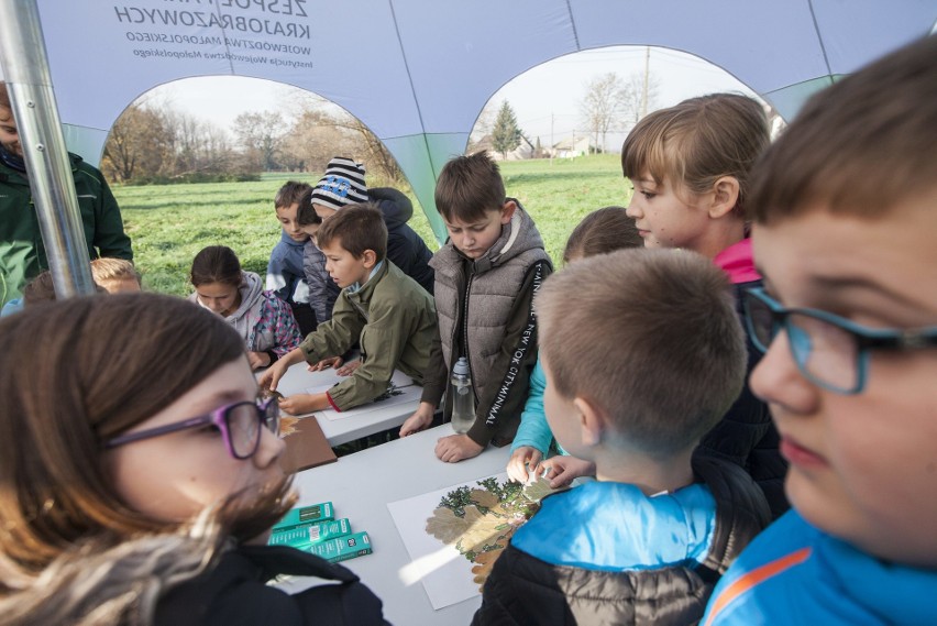 Kraków. W Przylasku Rusieckim posadzili setki drzew