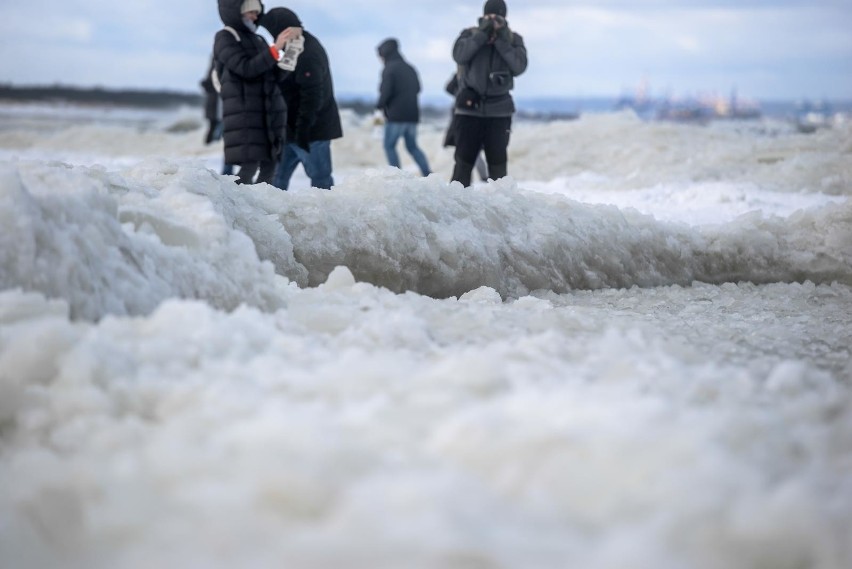 Lodowa plaża na Wyspie Sobieszewskiej