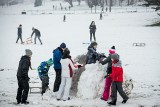 Kilka propozycji na trzeci weekend stycznia i koniec ferii w Bydgoszczy oraz sieci [lista wydarzeń]