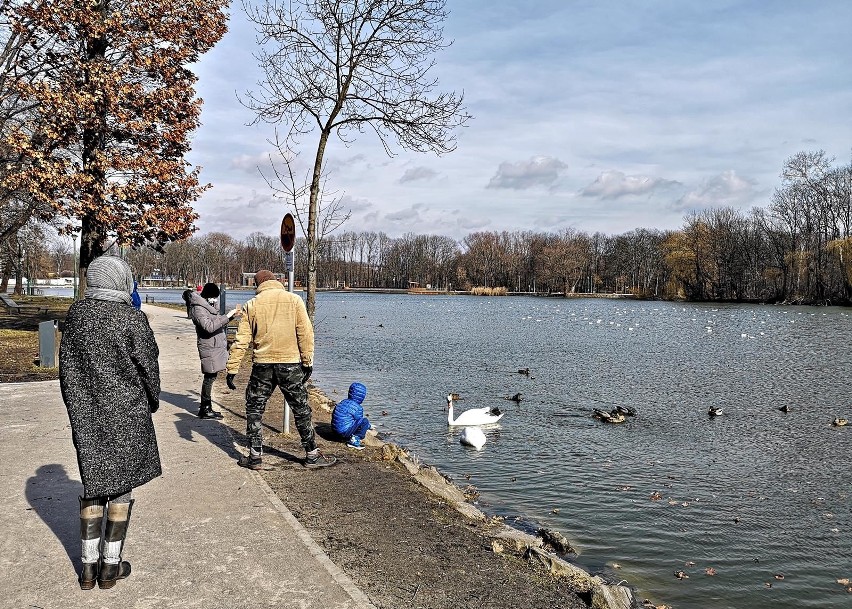 Kraków. Zalew Nowohucki przyciąga spacerowiczów w niedzielne popołudnie [ZDJĘCIA]