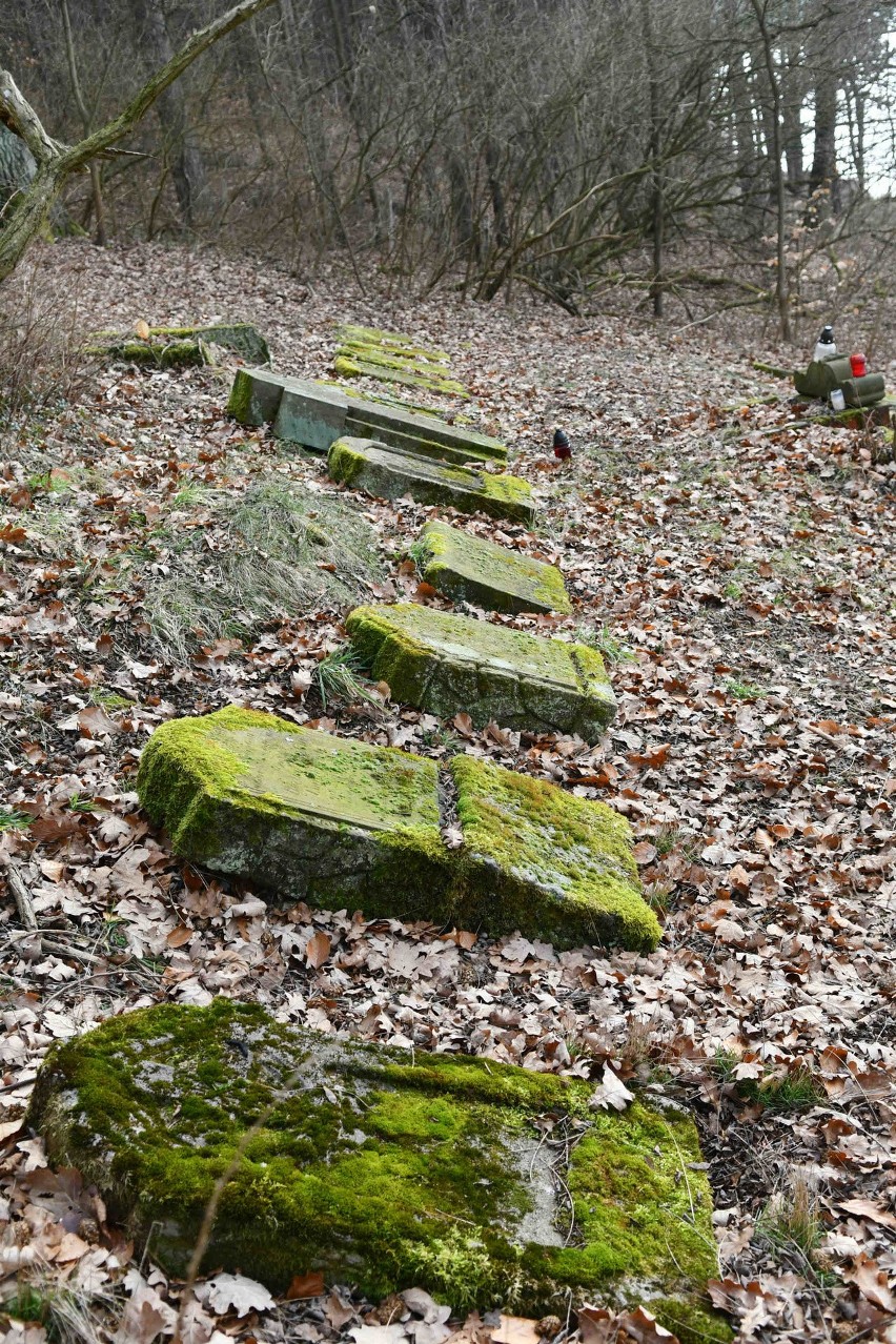 Z ocalałych tablic nagrobnych utworzono lapidarium.