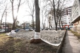 Kraków. Samowola przy ul. Cystersów. Chcieli zrobić parking wśród drzew. A mieszkańcy walczą o to, aby w ich okolicy było zielono [2.02.]