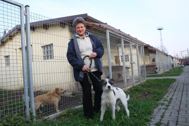 &#8211; Ludzie, którzy nie szanują zwierząt, nie mają czego szukać w naszym schronisku &#8211; mówi Dorota Skupińska.