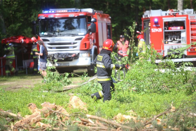 W Mysłowicach ćwiczono działania strażaków na wypadek pożaru lasu. Zobacz kolejne zdjęcia. Przesuń zdjęcia w prawo - wciśnij strzałkę lub przycisk NASTĘPNE