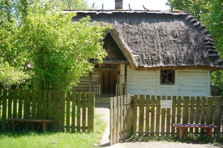 Skansen ponownie otwarty. Spacerowiczów nie brakuje. Zobacz zdjęcia