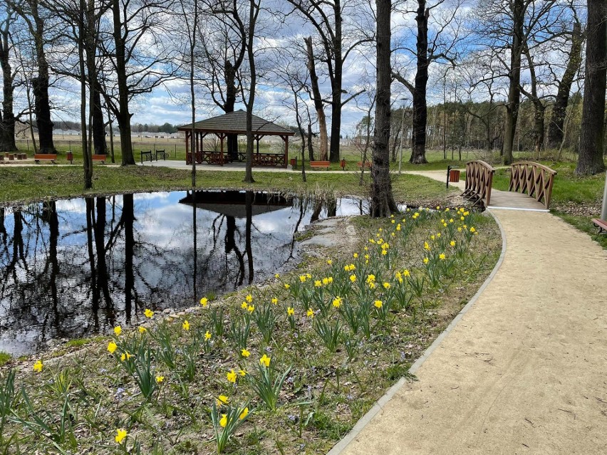 Park w Zielonej Górze Kiełpinie budzi się do życie po...