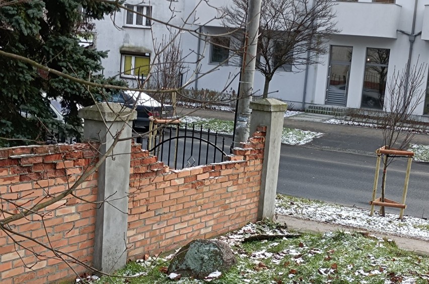 Mur cmentarza żydowskiego w Toruniu jest w fatalnym stanie....