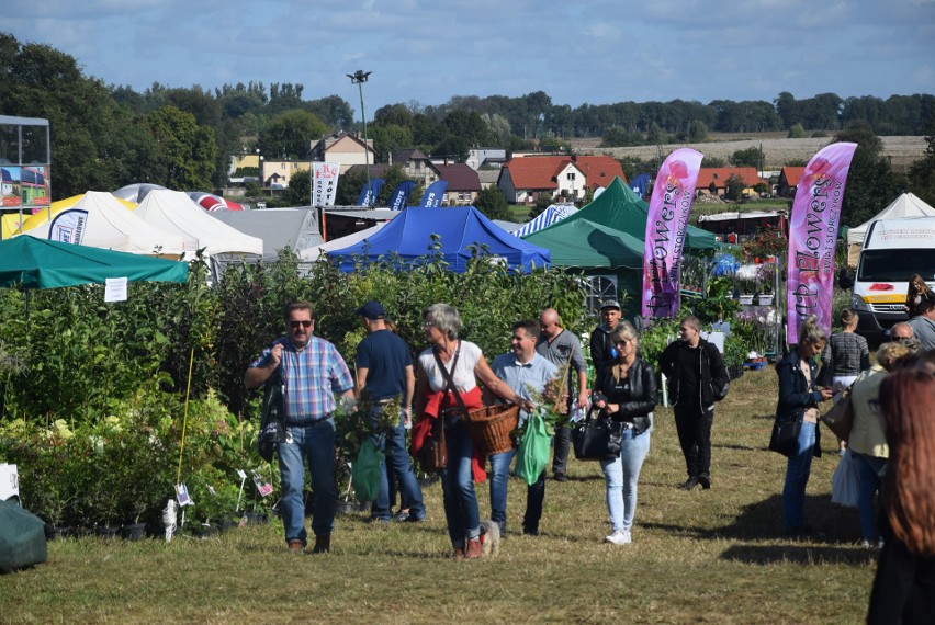 Rozpoczęły się Barzkowickie Targi Rolne Agro Pomerania 2019. Zobacz ZDJECIA!