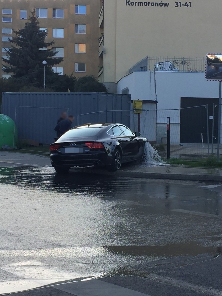 Kolizja na Kormoranów w Szczecinie. Woda z hydrantu wylała się na ulicę