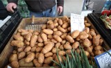 Czym różnią się ziemniaki wczesne od młodych? Jak je rozróżnić i nie dać się nabrać na importowane z Cypru lub Grecji?