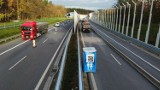 Nietypowy widok na DK 35 na Dolnym Śląsku. Toi-toi na środku drogi! Kierowcy nie wierzą własnym oczom!