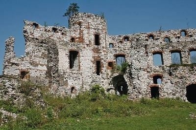 Od ponad dwóch lat toczy się batalia o uratowanie przed zniszczeniem ruin zamku "Tenczyn" w Rudnie; dzięki zaangażowaniu gminy Krzeszowice i dotacji z Ministerstwa Kultury i Dziedzictwa Narodowego będzie teraz możliwe wykonanie najpilniejszych prac zabezpieczających Fot. Piotr Subik