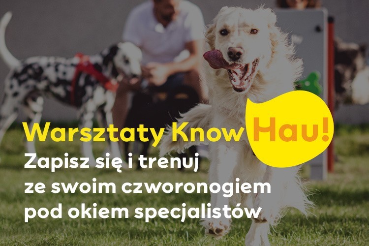 Ostatnia szansa na warsztaty Know HAU. Zabierz swojego psa na warsztaty i trenuj pod okiem specjalistów