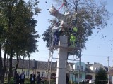 Już w czwartek odsłonią pomnik w Ożarowie. Prezydent Komorowski jednak nie przyjedzie 