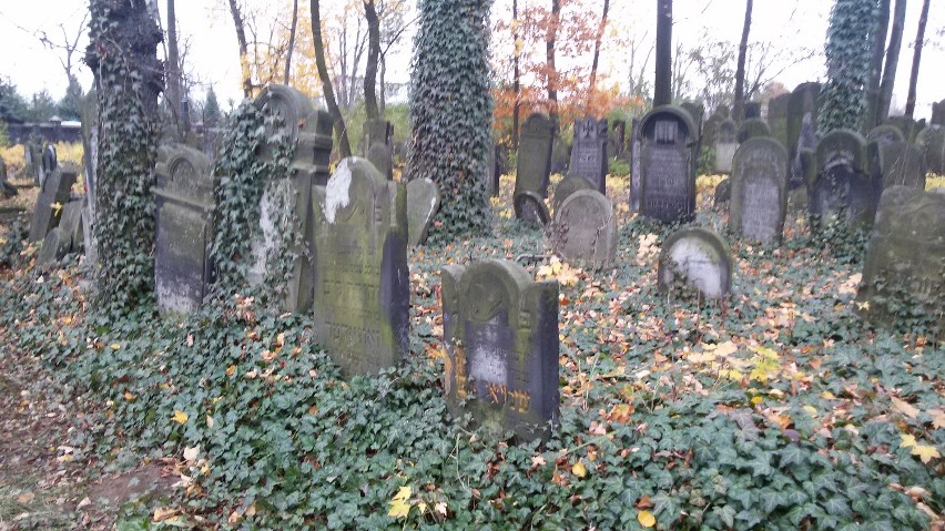 Zawiercie: Kwesta na cmentarzu żydowskim [ZDJĘCIA]