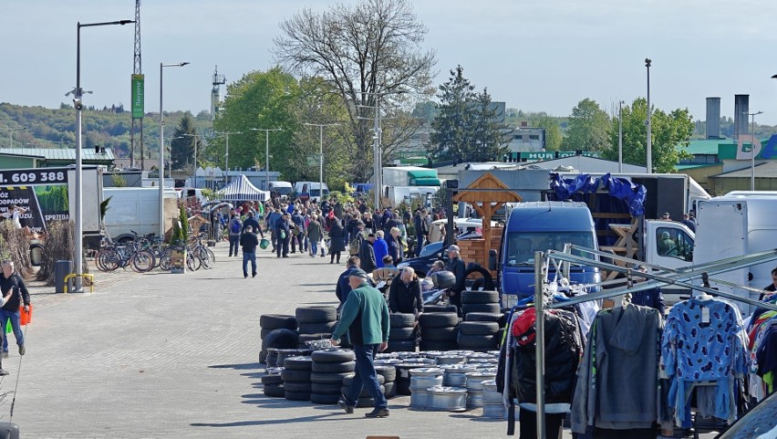 Mnóstwo ludzi na giełdzie w Sandomierzu w słoneczną sobotę, 27 kwietnia. Co kupowali? Zobacz zdjęcia 