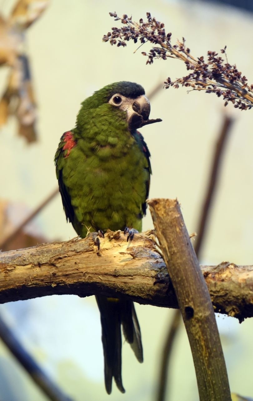 Łódzki ogród zoologiczny