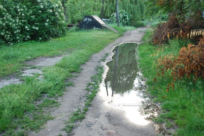 Sosnowiec: Bulwar Czarnej Przemszy dla rowerzystów i spacerowiczów?