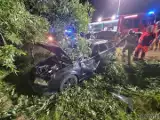 Tragiczny wypadek pod Korfantowem. Młody kierowca nie opanował auta. Zginęły trzy osoby