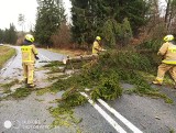 Wichura w regionie drawskim. Strażacy z OSP Złocieniec podsumowują ciągłą pracę [ZDJĘCIA]