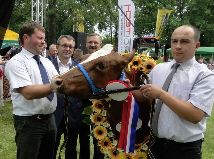 Superchampionkę - krowę Nirwanę podziwiali Jarosław...