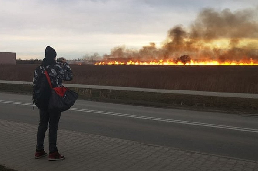 Duży pożar we Wrocławiu. Czarny dym na północy miasta (ZDJĘCIA)