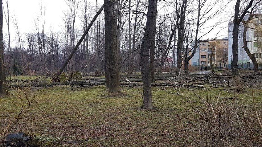 Park Habsburgów w Żywcu został zniszczony przez wiatr....