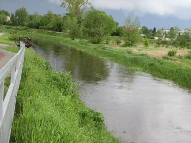 Rzeka Czarna w Staszowie