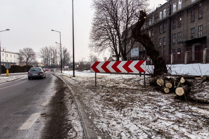 Wycinka przy Wrotkowskiej w Lublinie (ZDJĘCIA Z DRONA)
