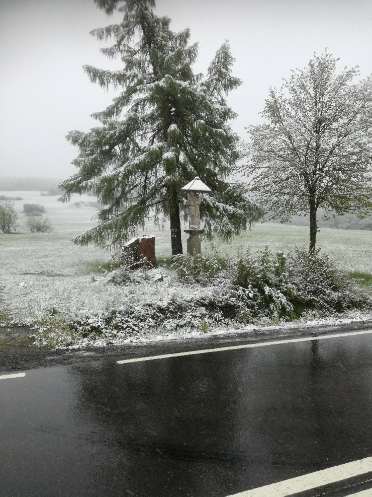 Zima wróciła w Beskid Niski. Śnieg sypie w Wysowej-Zdroju, Regietowie, Gładyszowie. Padać ma co najmniej do południa [ZDJĘCIA]