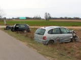 Połomin. Pijana kobieta spowodowała wypadek