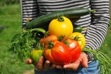 Warzywa. Jak wpływają na nasze zdrowie? Dlaczego warto jeść pomidory, cebulę i selera naciowego? Co kryje w sobie rzodkiewka?