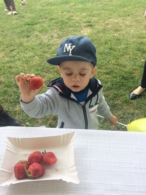 XXII Ogólnopolskie Dni Truskawki w Korycinie (zdjęcia)