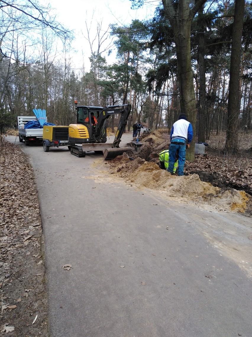 Nowe oświetlenie w Parku Wolności w Pabianicach. Prace już ruszyły ZDJĘCIA