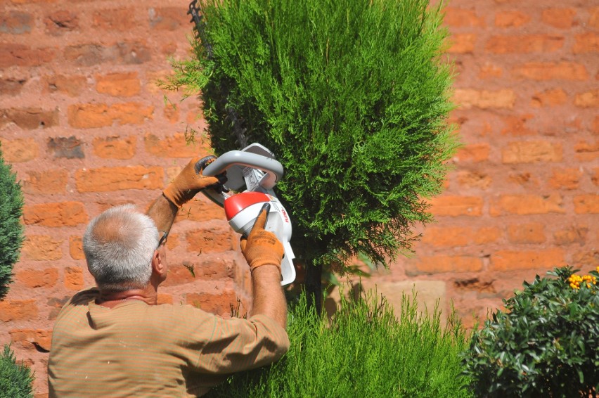 Kraków. Piękny zielony ogród przy ul. Grodzkiej, któremu nie grożą deweloperzy [ZDJĘCIA]