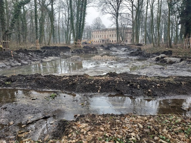 Już zachwycaliśmy się tym, co stało się w pałacu, a raczej w ruinie pałacu w Zatoniu. Teraz rewolucja rozszerzyła się na park. Jak wielokrotnie pisaliśmy w zamyśle twórców parku bardzo istotną rolę odgrywała woda. Strumień, sieć kanałów, stawy, fontanna. Przez lata mogliśmy sobie ten układ tylko wyobrazić. Dziś można to już nawet dostrzec, chociaż i teraz jeszcze przyda się wyobraźnia. Zresztą zobaczcie sami...Zobacz również: Co dalej z ruinami pałacu Promnitzów stojącymi w środku miasta