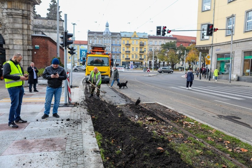 Do centrum Szczecina powracają niektóre linie tramwajowe! Sprawdźcie które i jakie będą zmiany w komunikacji miejskiej 