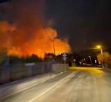 Poważny pożar traw i nieużytków rolnych we Włodowicach. Pożar zajął teren około 8 hektarów