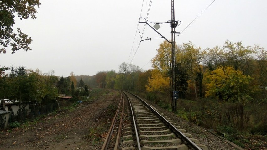 Szczecińska Kolej Metropolitalna. Budowa drugiego toru ruszy dopiero w przyszłym roku 