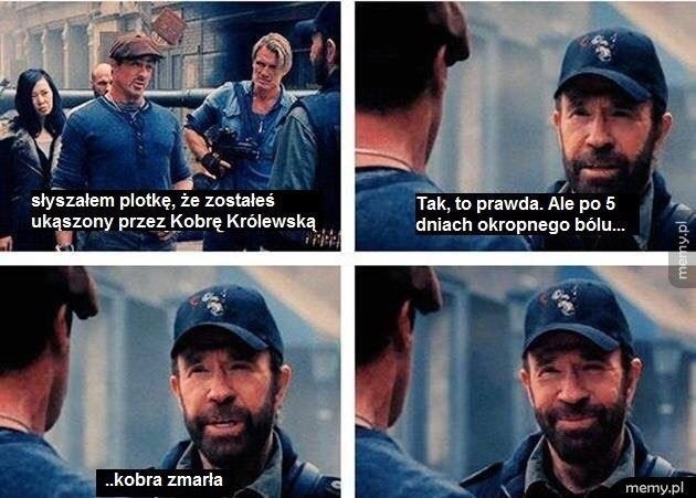 Memy z Chuckiem Norrisem. Chuck Norris potrafi wszystko MEMY